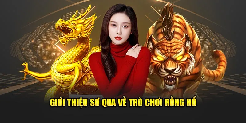 Giới thiệu sơ qua về trò chơi rồng hổ